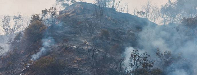 Peligro de aumento de incendios foretales  en Colombia para el 2020