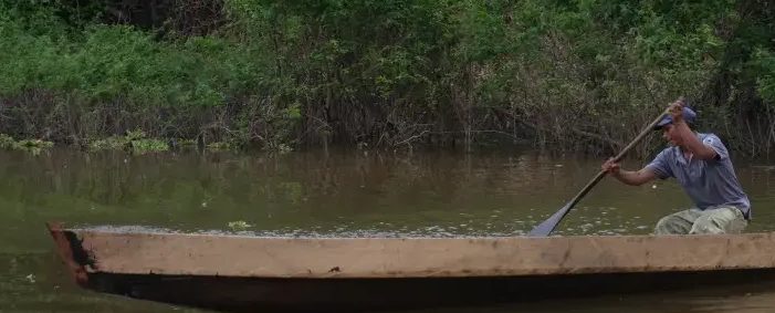 Alerta: Histórica reducción de deforestación en la Amazonía: bajó en 38%